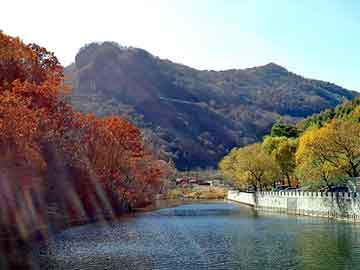 新澳天天开奖资料大全旅游团，孵化器价格